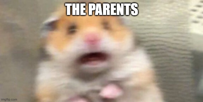 Screaming Hampster | THE PARENTS | image tagged in screaming hampster | made w/ Imgflip meme maker