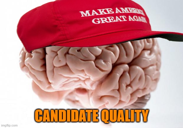 Scumbag Brain | CANDIDATE QUALITY | image tagged in scumbag brain | made w/ Imgflip meme maker