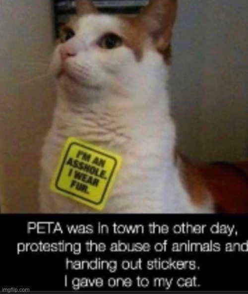 Posting reposting | made w/ Imgflip meme maker