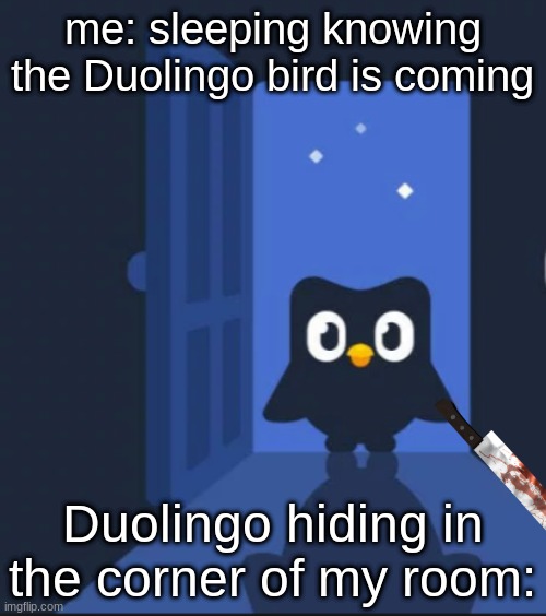 Duolingo bird | me: sleeping knowing the Duolingo bird is coming; Duolingo hiding in the corner of my room: | image tagged in duolingo bird | made w/ Imgflip meme maker