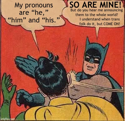 Batman (he/him) and Robin (he/him) | SO ARE MINE! My pronouns are “he,” “him” and “his.”; But do you hear me announcing them to the whole world? I understand when trans folk do it, but COME ON! | image tagged in memes,batman slapping robin,pronouns | made w/ Imgflip meme maker