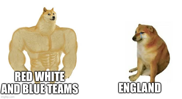 73y6e7.jpg