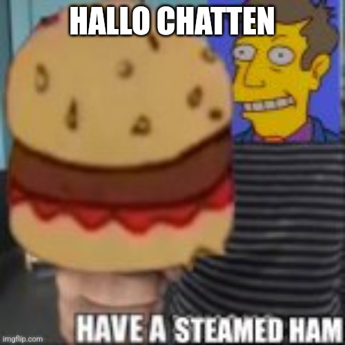 Have a steamed ham | HALLO CHATTEN | image tagged in have a steamed ham | made w/ Imgflip meme maker