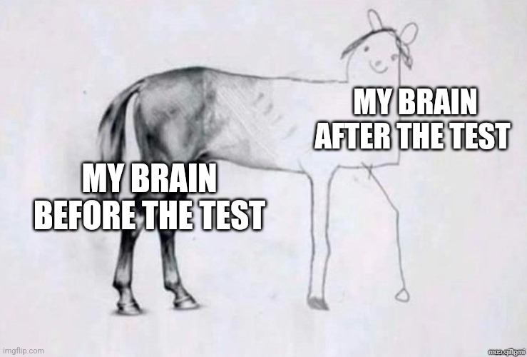 Test | MY BRAIN AFTER THE TEST; MY BRAIN BEFORE THE TEST | image tagged in horse drawing | made w/ Imgflip meme maker