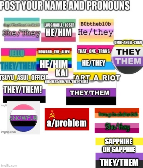 one of my friends called me "Sapphie" once and now its my favorite nickname :) |  SAPPHIRE OR SAPPHIE; THEY/THEM | image tagged in non binary,lesbian,asexual,lgbtq,im gay,bitch | made w/ Imgflip meme maker