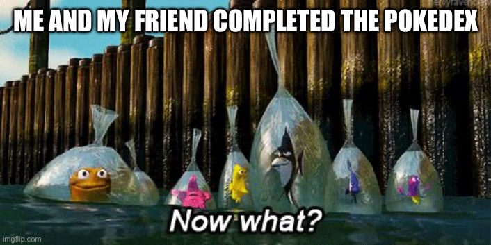 Now What? | ME AND MY FRIEND COMPLETED THE POKEDEX | image tagged in now what | made w/ Imgflip meme maker