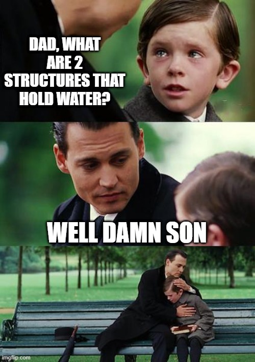 Hold That Water | DAD, WHAT ARE 2 STRUCTURES THAT HOLD WATER? WELL DAMN SON | image tagged in memes,finding neverland | made w/ Imgflip meme maker