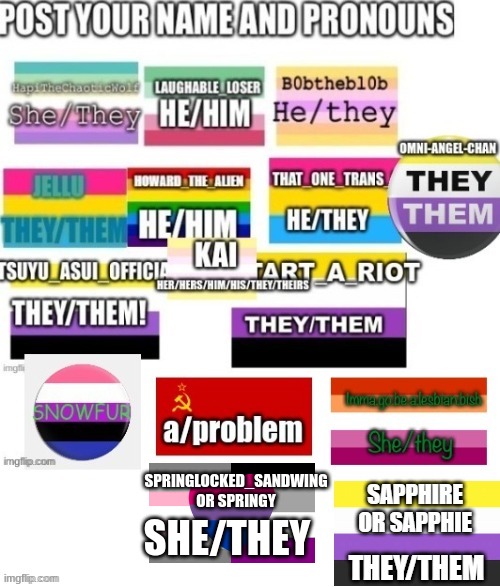 SPRINGLOCKED_SANDWING OR SPRINGY; SHE/THEY | made w/ Imgflip meme maker