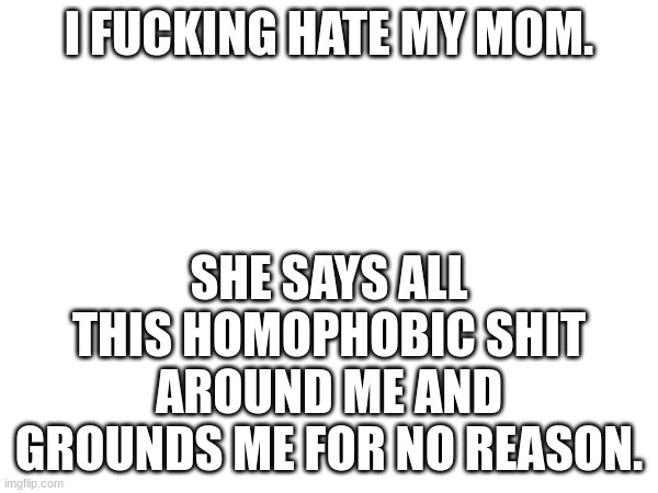 . | I FUCKING HATE MY MOM. SHE SAYS ALL THIS HOMOPHOBIC SHIT AROUND ME AND GROUNDS ME FOR NO REASON. | image tagged in ha ha tags go brr | made w/ Imgflip meme maker