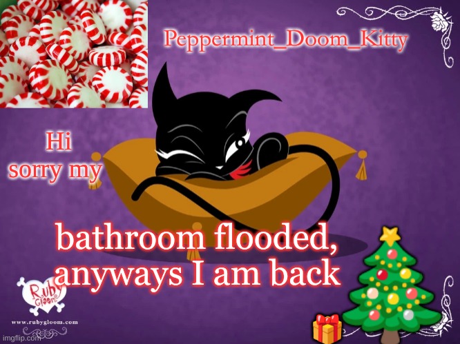 Peppermintdoomkitty | Hi sorry my; bathroom flooded, anyways I am back | image tagged in peppermintdoomkitty | made w/ Imgflip meme maker