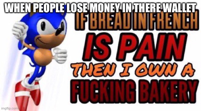 If bread in french is pain | WHEN PEOPLE LOSE MONEY IN THERE WALLET | image tagged in if bread in french is pain,sonic the hedgehog | made w/ Imgflip meme maker