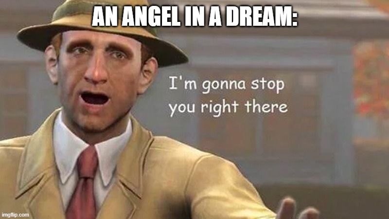 I'm gonna stop you right there | AN ANGEL IN A DREAM: | image tagged in i'm gonna stop you right there | made w/ Imgflip meme maker