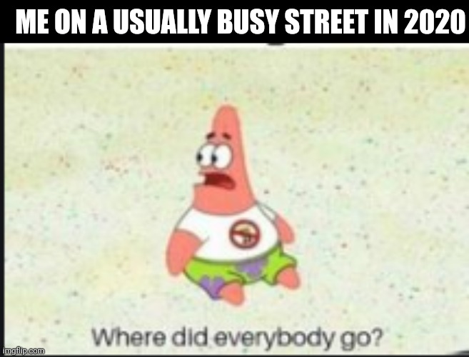 The truth | ME ON A USUALLY BUSY STREET IN 2020 | image tagged in memes,alone patrick,quarantine | made w/ Imgflip meme maker