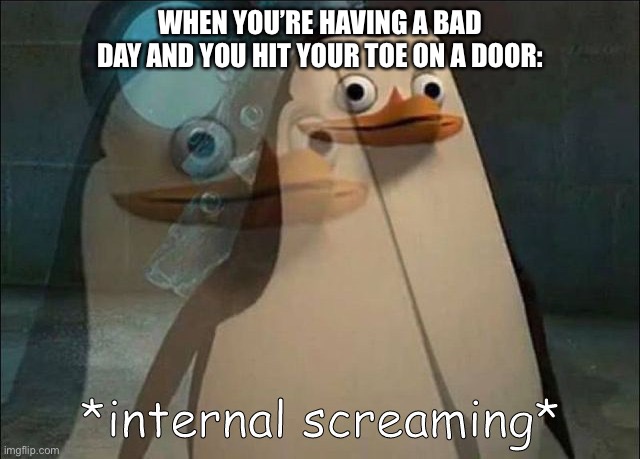 i get mad at this for no reason- | WHEN YOU’RE HAVING A BAD DAY AND YOU HIT YOUR TOE ON A DOOR: | image tagged in private internal screaming | made w/ Imgflip meme maker