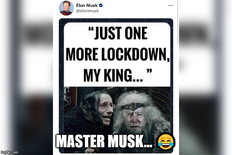 “My pronouns are Prosecute/Fauci.” | MASTER MUSK... 😂 | image tagged in elon musk,the master | made w/ Imgflip meme maker