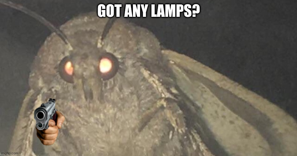 moth | GOT ANY LAMPS? | image tagged in moth | made w/ Imgflip meme maker