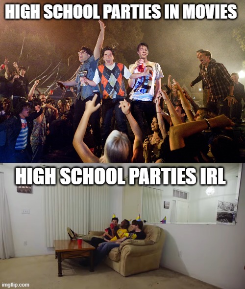 I never went to any parties in high school | HIGH SCHOOL PARTIES IN MOVIES; HIGH SCHOOL PARTIES IRL | image tagged in high school,party,partying | made w/ Imgflip meme maker