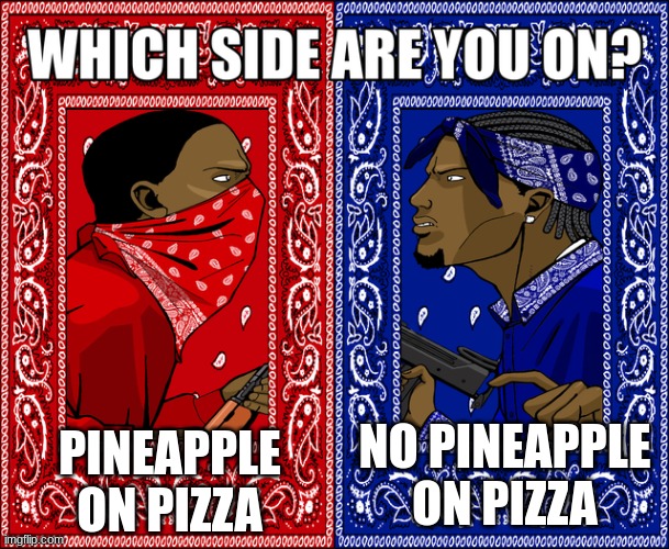 WHICH SIDE ARE YOU ON? | PINEAPPLE ON PIZZA; NO PINEAPPLE ON PIZZA | image tagged in which side are you on | made w/ Imgflip meme maker