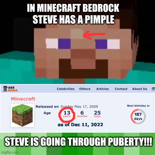 STEVE HAS PUBERTY | STEVE HAS A PIMPLE; IN MINECRAFT BEDROCK; as of Dec 11, 2022; STEVE IS GOING THROUGH PUBERTY!!! | image tagged in minecraft,minecraft steve,puberty,13 | made w/ Imgflip meme maker