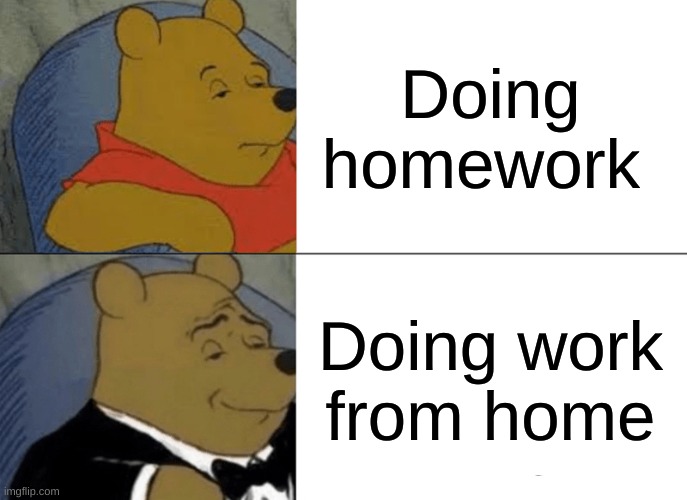 Tuxedo Winnie The Pooh | Doing homework; Doing work from home | image tagged in memes,tuxedo winnie the pooh | made w/ Imgflip meme maker