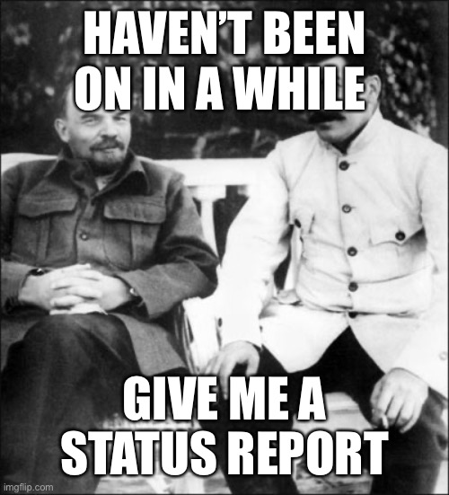 lenin and stalin | HAVEN’T BEEN ON IN A WHILE; GIVE ME A STATUS REPORT | image tagged in lenin and stalin | made w/ Imgflip meme maker