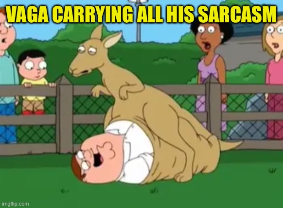 VAGA CARRYING ALL HIS SARCASM | made w/ Imgflip meme maker