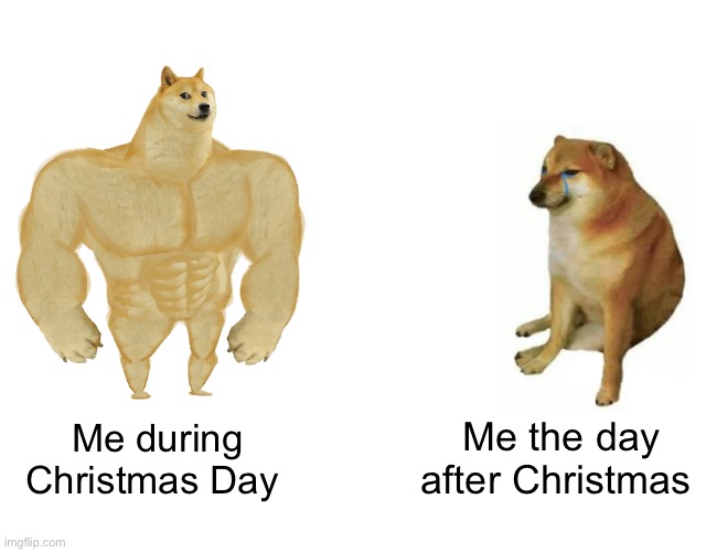 Christmas Day | Me the day after Christmas; Me during Christmas Day | image tagged in memes,buff doge vs cheems | made w/ Imgflip meme maker