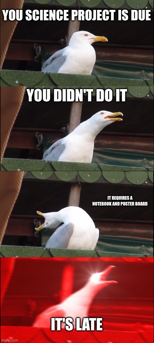 Inhaling Seagull Meme | YOU SCIENCE PROJECT IS DUE; YOU DIDN'T DO IT; IT REQUIRES A NOTEBOOK AND POSTER BOARD; IT'S LATE | image tagged in memes,inhaling seagull | made w/ Imgflip meme maker