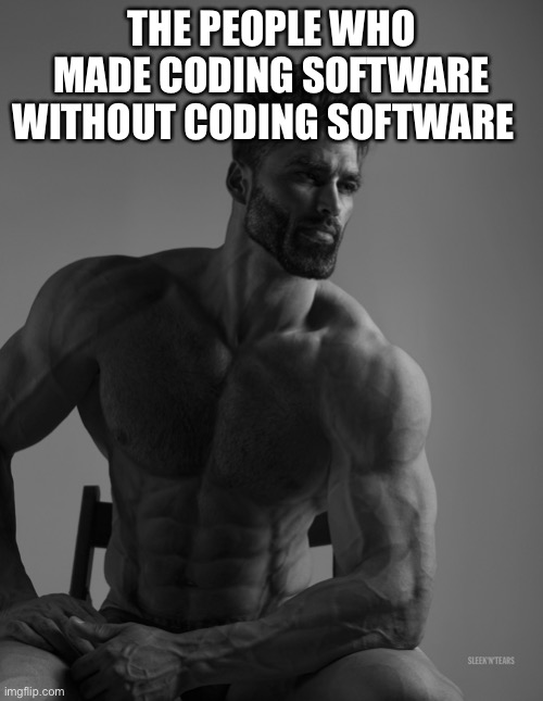 The true giga chad | THE PEOPLE WHO MADE CODING SOFTWARE WITHOUT CODING SOFTWARE | image tagged in giga chad | made w/ Imgflip meme maker