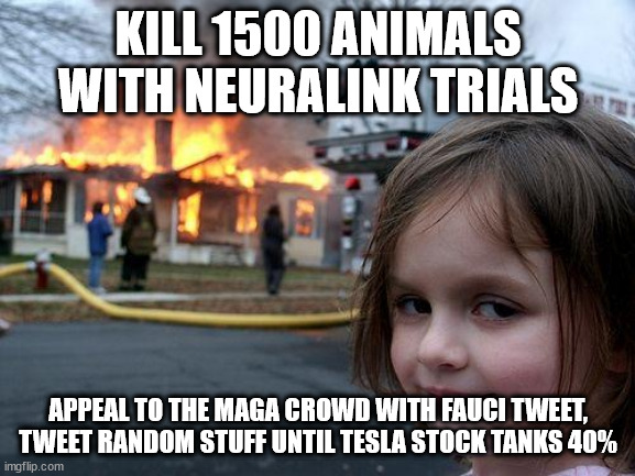 Disaster Girl Meme | KILL 1500 ANIMALS WITH NEURALINK TRIALS; APPEAL TO THE MAGA CROWD WITH FAUCI TWEET, TWEET RANDOM STUFF UNTIL TESLA STOCK TANKS 40% | image tagged in memes,disaster girl,memes | made w/ Imgflip meme maker