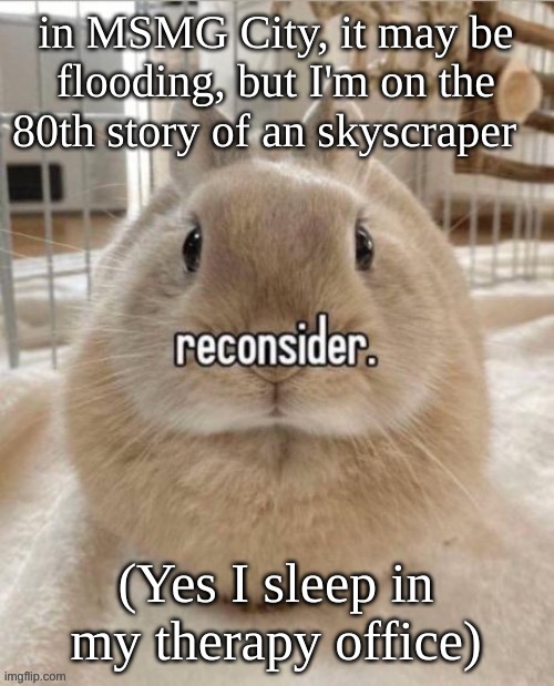 reconsider | in MSMG City, it may be flooding, but I'm on the 80th story of an skyscraper; (Yes I sleep in my therapy office) | image tagged in reconsider | made w/ Imgflip meme maker