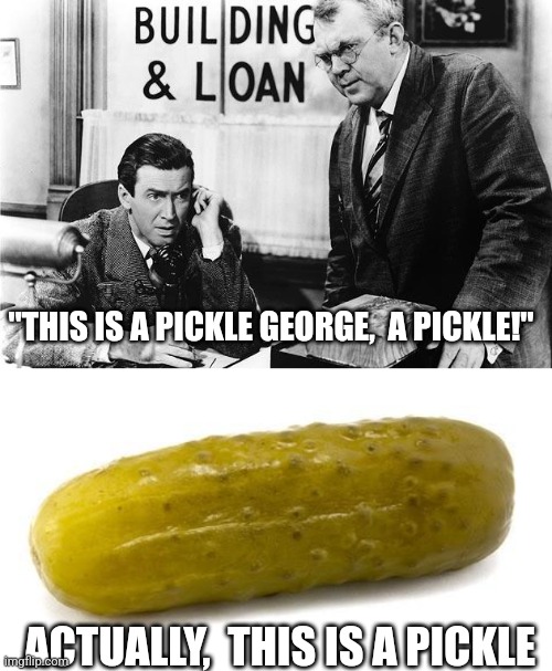 It's a wonderful pickle | "THIS IS A PICKLE GEORGE,  A PICKLE!"; ACTUALLY,  THIS IS A PICKLE | image tagged in pickle | made w/ Imgflip meme maker