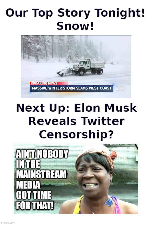 Breaking News! Snow!! | image tagged in mainstream media,snow,job,elon musk buying twitter,censorship,reveal | made w/ Imgflip meme maker