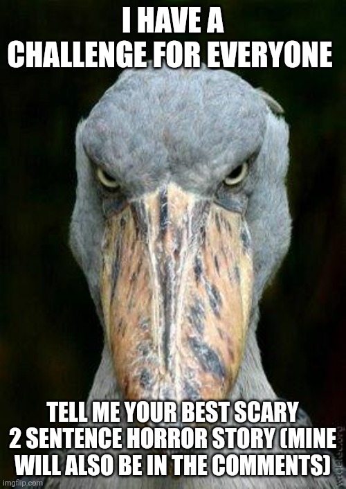 Yes | I HAVE A CHALLENGE FOR EVERYONE; TELL ME YOUR BEST SCARY 2 SENTENCE HORROR STORY (MINE WILL ALSO BE IN THE COMMENTS) | image tagged in scary bird | made w/ Imgflip meme maker