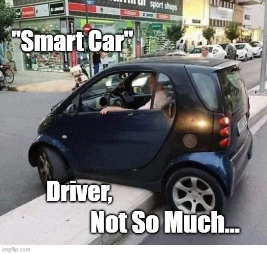 Smart Car | "Smart Car"; Driver, Not So Much... | image tagged in not driver | made w/ Imgflip meme maker