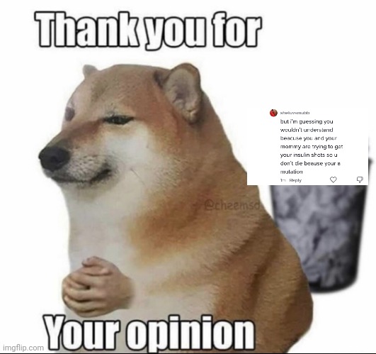 Thank you Sheluvsmubb for your opinion. The trash loves it | image tagged in thank you for your opinion | made w/ Imgflip meme maker