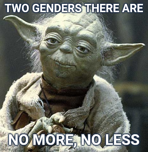 Yesterday, today, and tomorrow. | TWO GENDERS THERE ARE; NO MORE, NO LESS | image tagged in the force yoda | made w/ Imgflip meme maker
