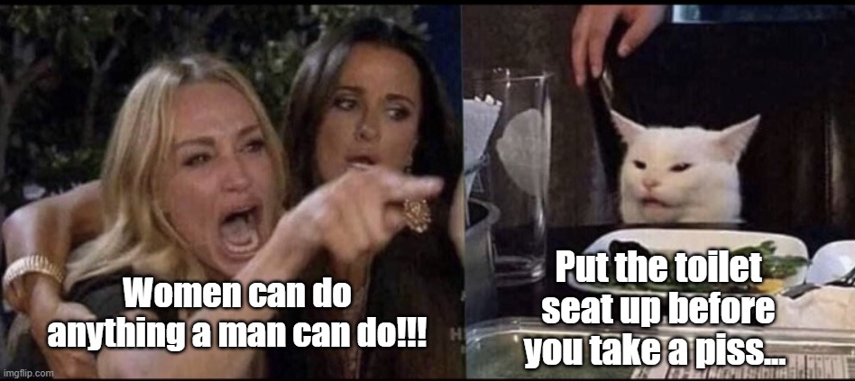Karen Carpenter and Smudge Cat | Put the toilet seat up before you take a piss... Women can do anything a man can do!!! | image tagged in karen carpenter and smudge cat | made w/ Imgflip meme maker