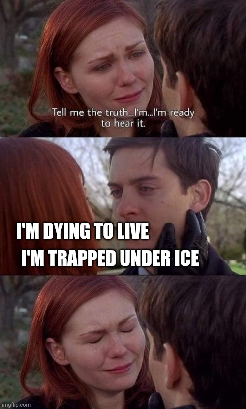 Tell me the truth, I'm ready to hear it | I'M DYING TO LIVE I'M TRAPPED UNDER ICE | image tagged in tell me the truth i'm ready to hear it | made w/ Imgflip meme maker