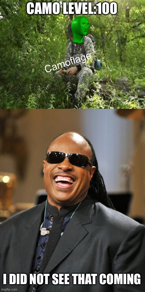 CAMO LEVEL:100 I DID NOT SEE THAT COMING | image tagged in camoflage,stevie wonder | made w/ Imgflip meme maker