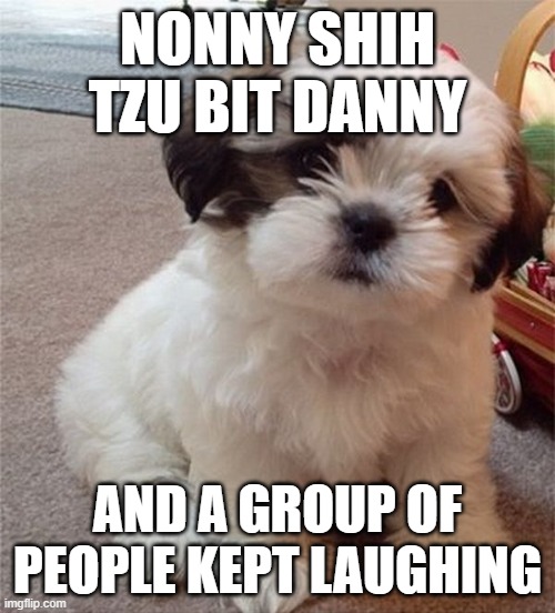 Nonny dog bite Danny as a child | NONNY SHIH TZU BIT DANNY; AND A GROUP OF PEOPLE KEPT LAUGHING | image tagged in shih tzu,leonardo biting fist | made w/ Imgflip meme maker