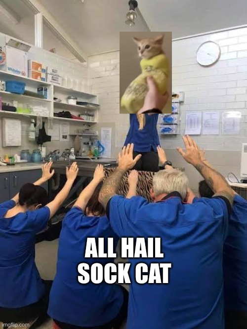 People Worshipping The Cat | ALL HAIL
SOCK CAT | image tagged in people worshipping the cat | made w/ Imgflip meme maker