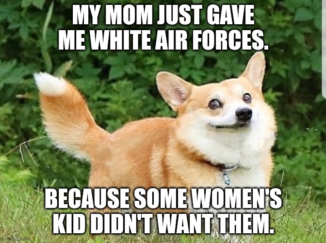 They cost like 100 bucks, so imma not try and ruin them. | MY MOM JUST GAVE ME WHITE AIR FORCES. BECAUSE SOME WOMEN'S KID DIDN'T WANT THEM. | image tagged in ok boomer corgi,even tho i hate nike | made w/ Imgflip meme maker