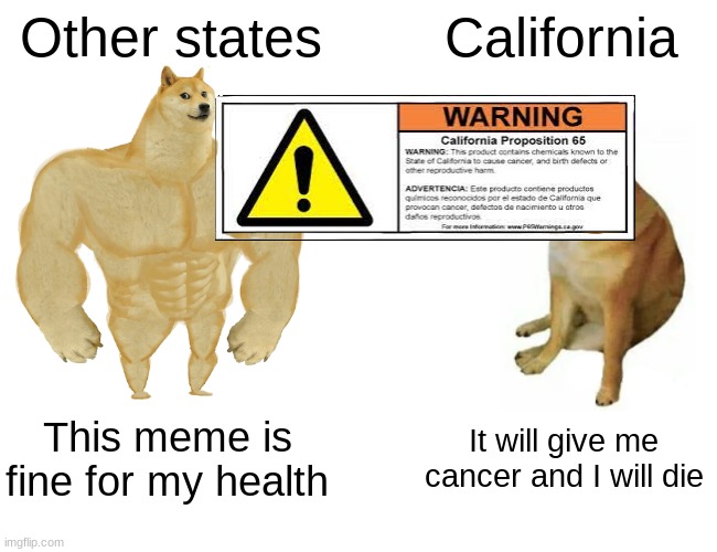 No offense, California | Other states; California; This meme is fine for my health; It will give me cancer and I will die | image tagged in memes,buff doge vs cheems | made w/ Imgflip meme maker