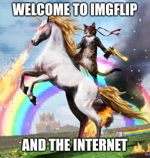 Welcome To The Internets Meme | WELCOME TO IMGFLIP AND THE INTERNET | image tagged in memes,welcome to the internets | made w/ Imgflip meme maker