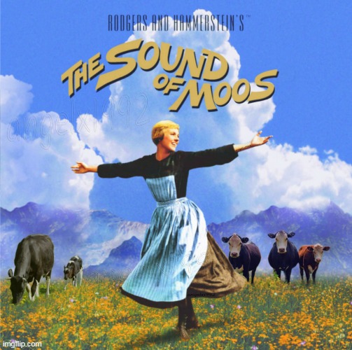 image tagged in the sound of music,moo,cows,cattle,movies,animals | made w/ Imgflip meme maker