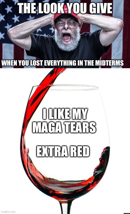THE LOOK YOU GIVE; WHEN YOU LOST EVERYTHING IN THE MIDTERMS; I LIKE MY MAGA TEARS; EXTRA RED | image tagged in maga tears,red wine | made w/ Imgflip meme maker