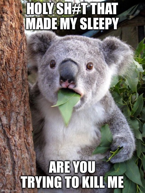 shocked koala | HOLY SH#T THAT MADE MY SLEEPY ARE YOU TRYING TO KILL ME | image tagged in shocked koala | made w/ Imgflip meme maker