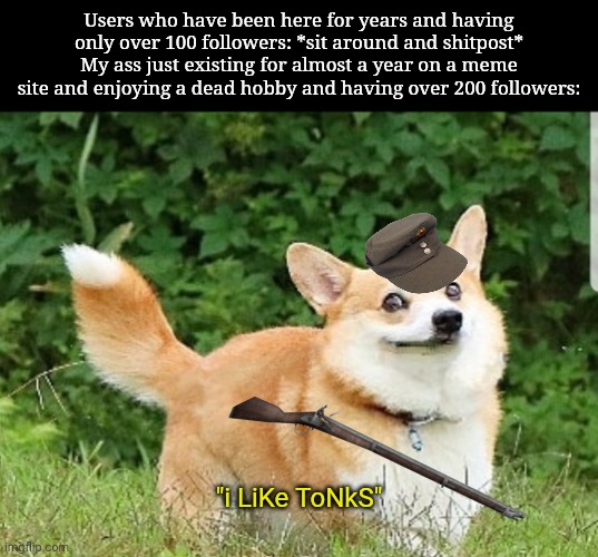 Me shitposting on myself be like: | Users who have been here for years and having only over 100 followers: *sit around and shitpost*
My ass just existing for almost a year on a meme site and enjoying a dead hobby and having over 200 followers:; "i LiKe ToNkS" | image tagged in ok boomer corgi | made w/ Imgflip meme maker