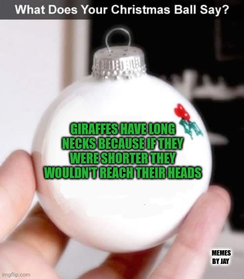 Wait what |  GIRAFFES HAVE LONG NECKS BECAUSE IF THEY WERE SHORTER THEY WOULDN'T REACH THEIR HEADS; MEMES BY JAY | image tagged in christmas ornament,funny giraffe,neck,neck guy | made w/ Imgflip meme maker